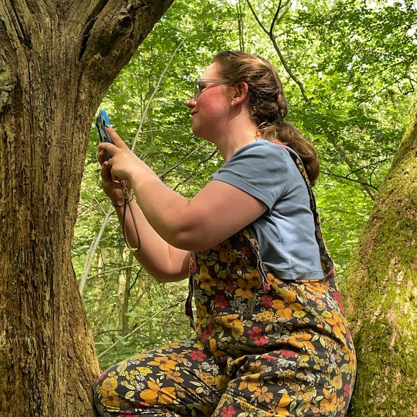Collecting images of nature in the woods